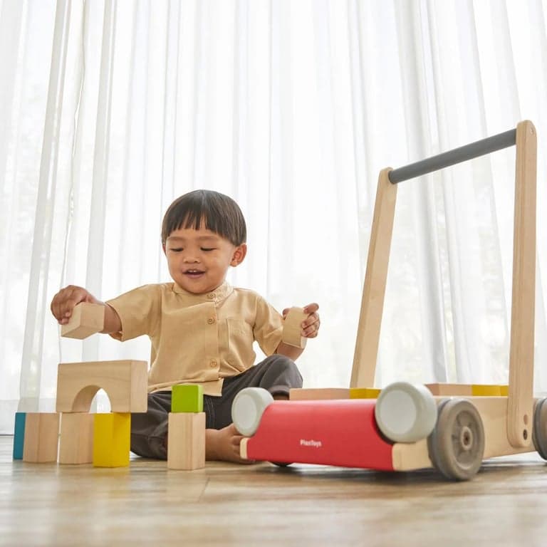 Push walker