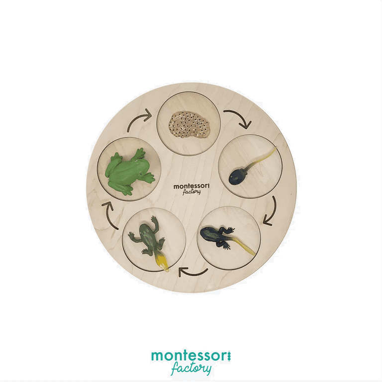 Montessori product image