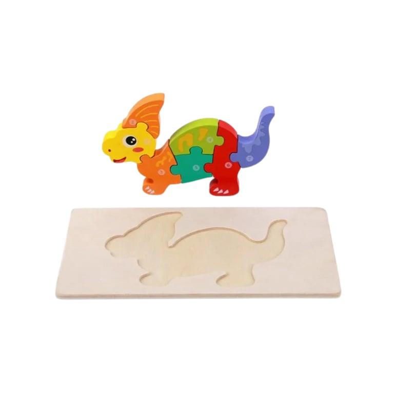 Montessori Seaside-Montessori 3D Puzzle Paraganglion