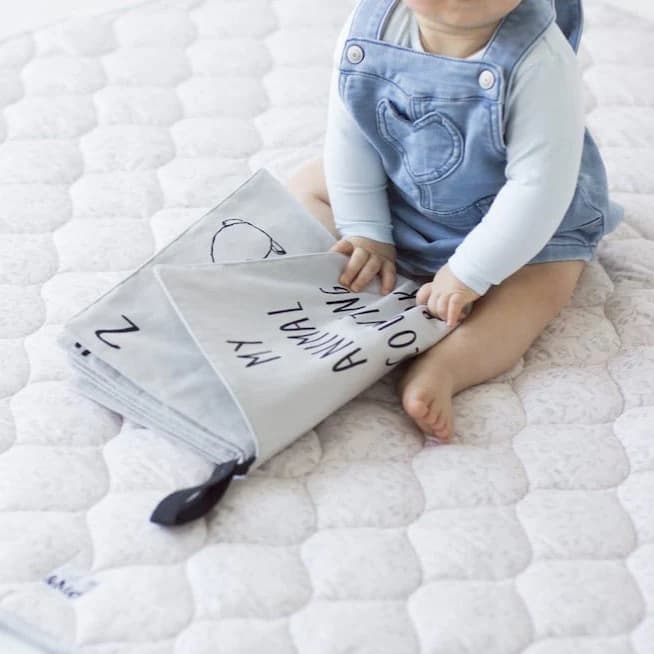 Finch & Folk My Animal Counting Crinkle Book