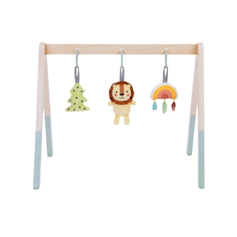 Tooky Toy Play Gym