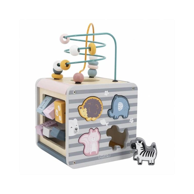 PolarB Activity Cube