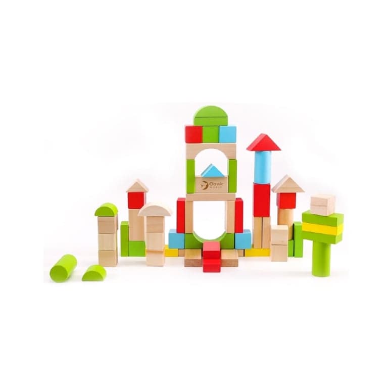 Classic World Building Blocks 50 Pieces
