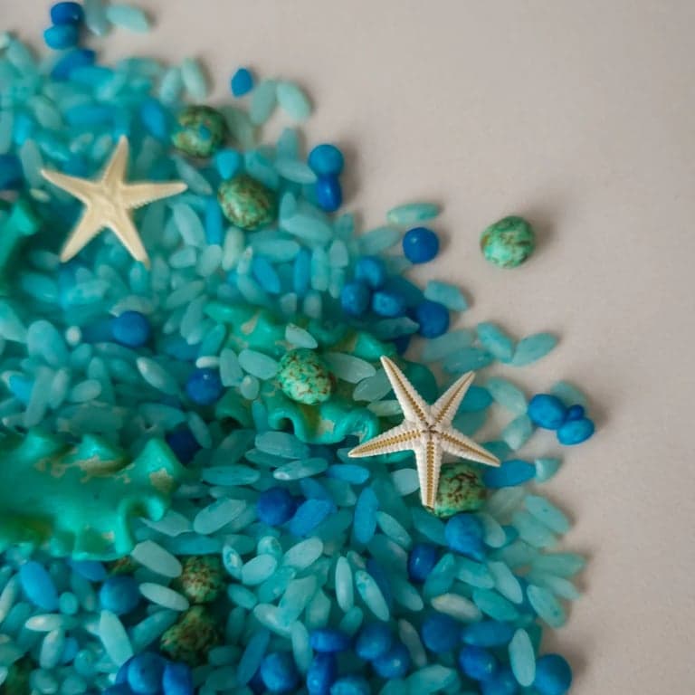Curious by Nature Rockpool Sensory Base