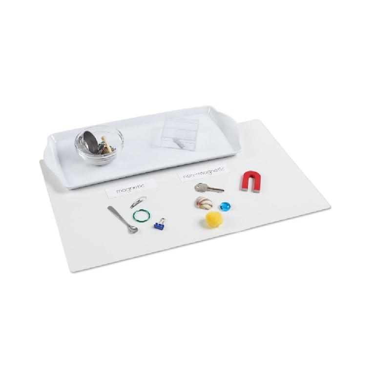 Montessori Montessori Services Magnetic/Non-Magnetic Activity