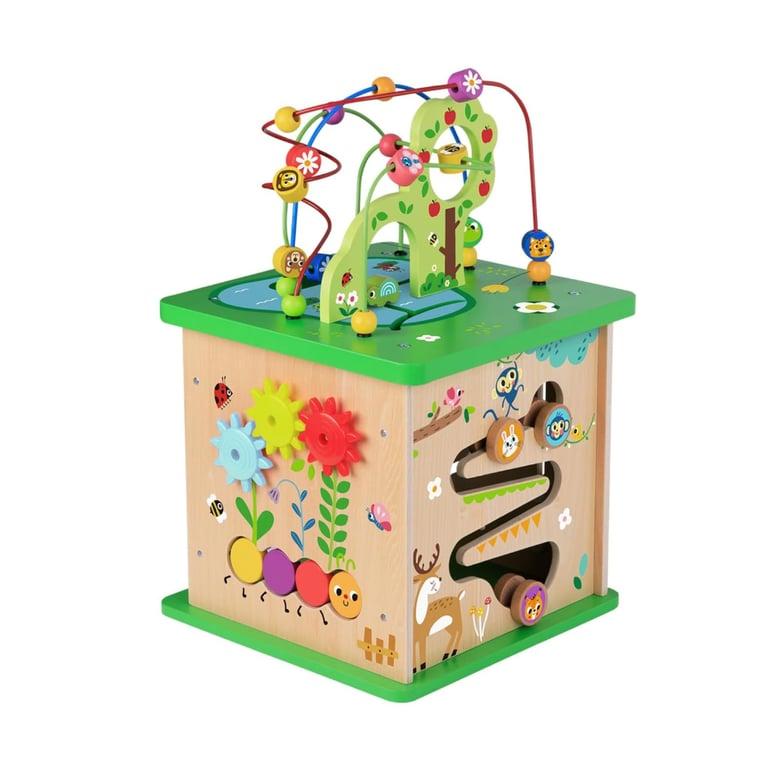 Montessori TOOKYLAND 5-in-1 Wooden Activity Cube