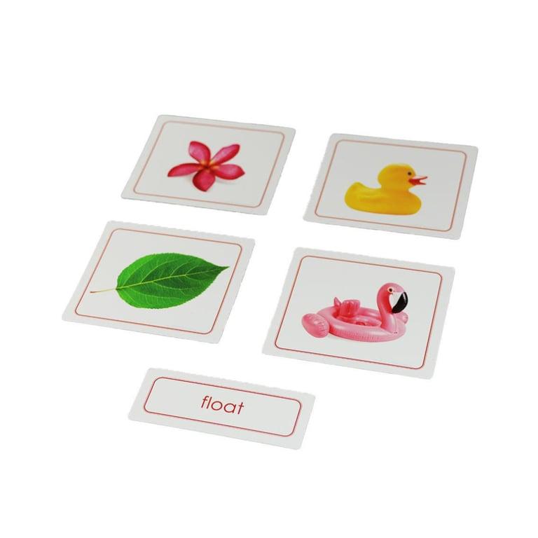 Montessori ETC Montessori Sink and Float Sorting Activity