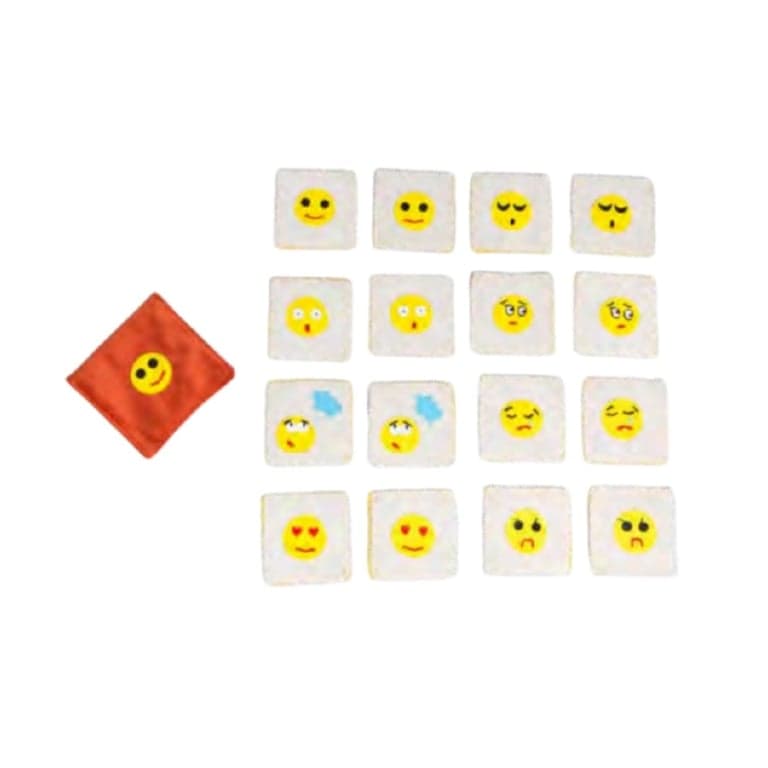 Zeki Learning Memory Game Emotions