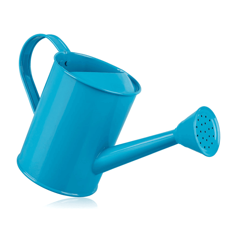 Montessori Homarden Watering Can 0.32 oz Blue