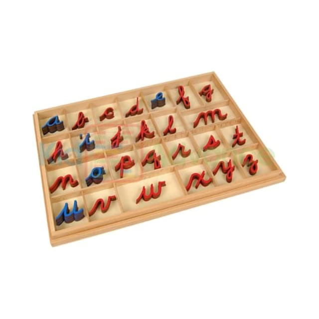 Kid Advance Montessori Cursive Moveable Alphabets With Box