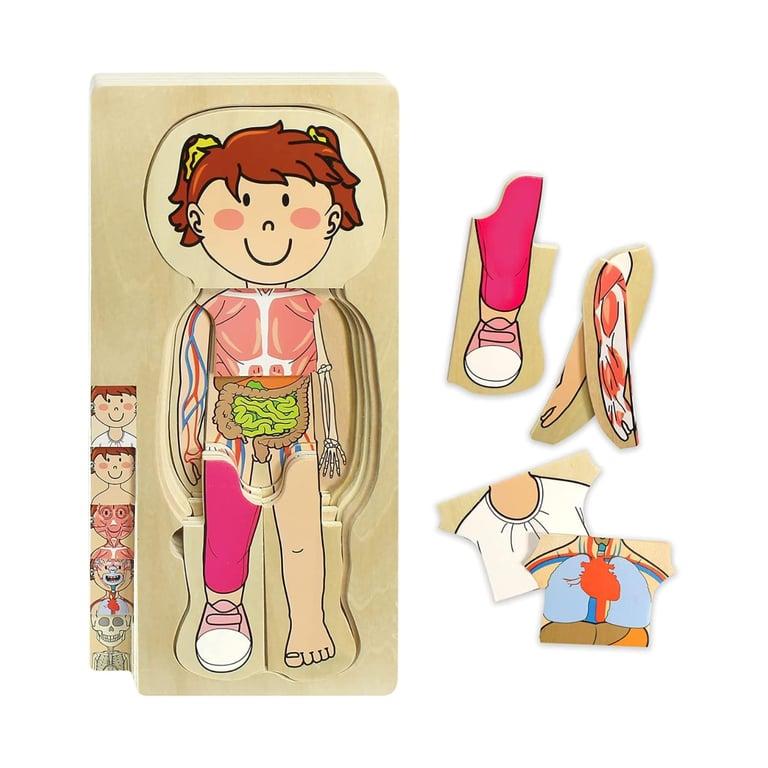 Montessori Kidzlane Layer Puzzle Girl Anatomy