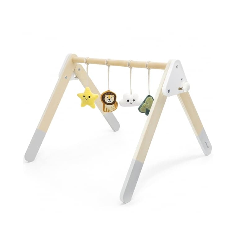 PolarB Play Gym