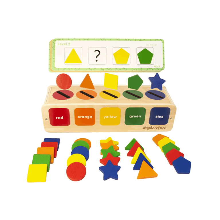 Montessori WOODENFUN Color Shape Sorter