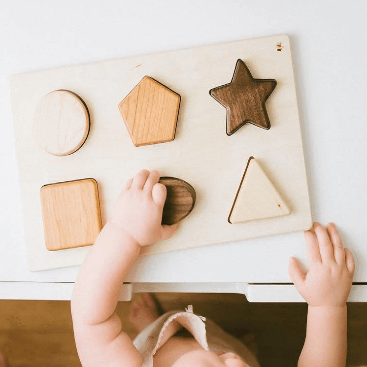 Montessori Bannor Toys Chunky Shape Puzzle