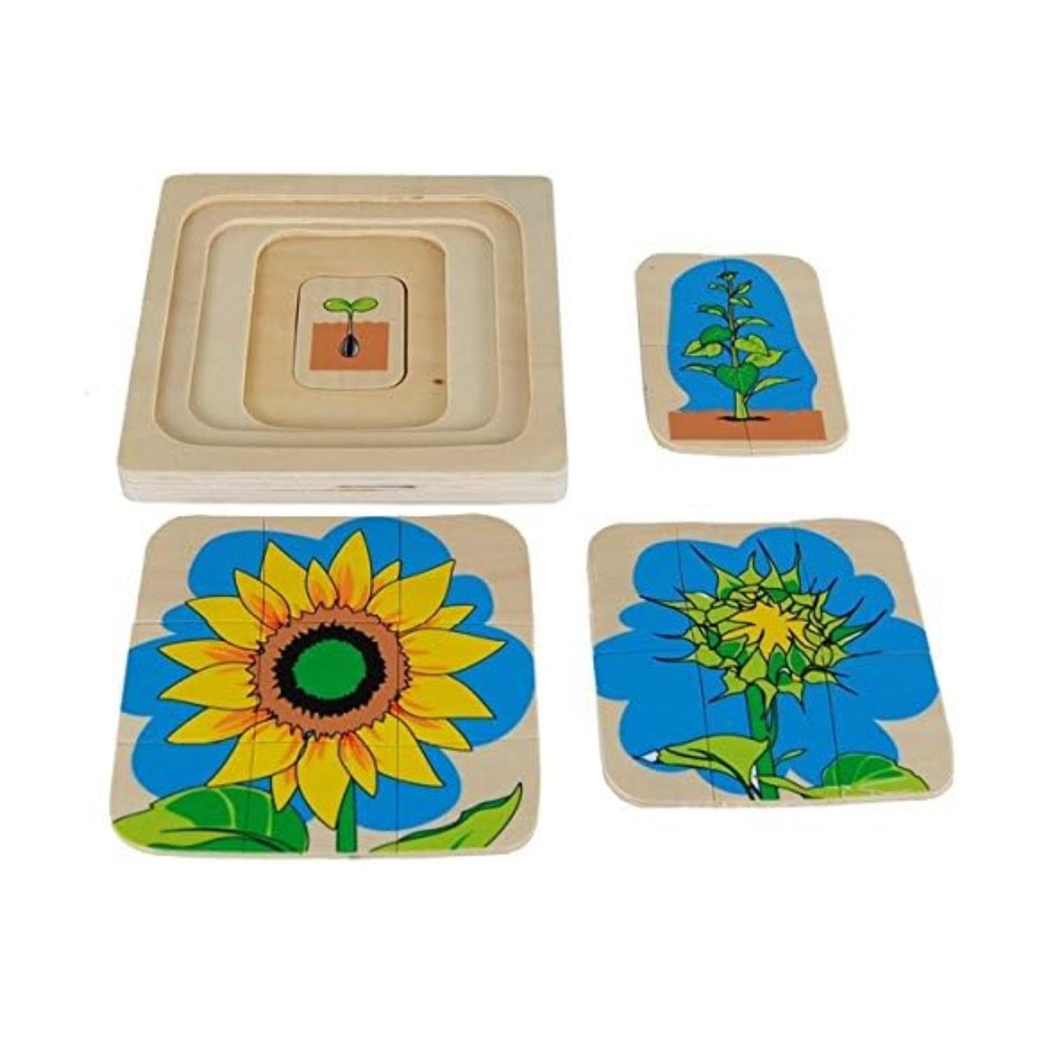 Montessori Kid Advance Montessori Layer Puzzle Sunflower Life-Cycle