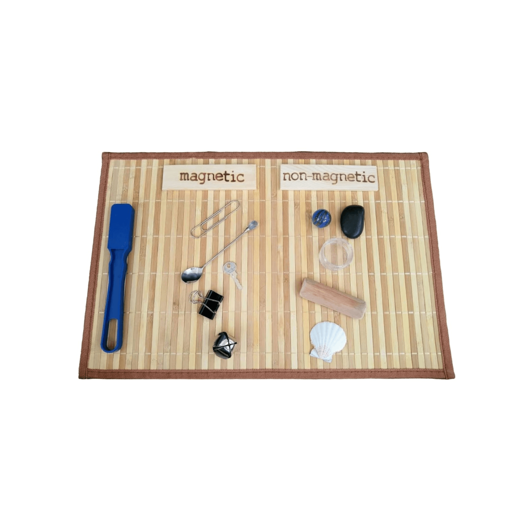 Montessori Arbor Inspirations Magnetic and Non-Magnetic Sorting Set