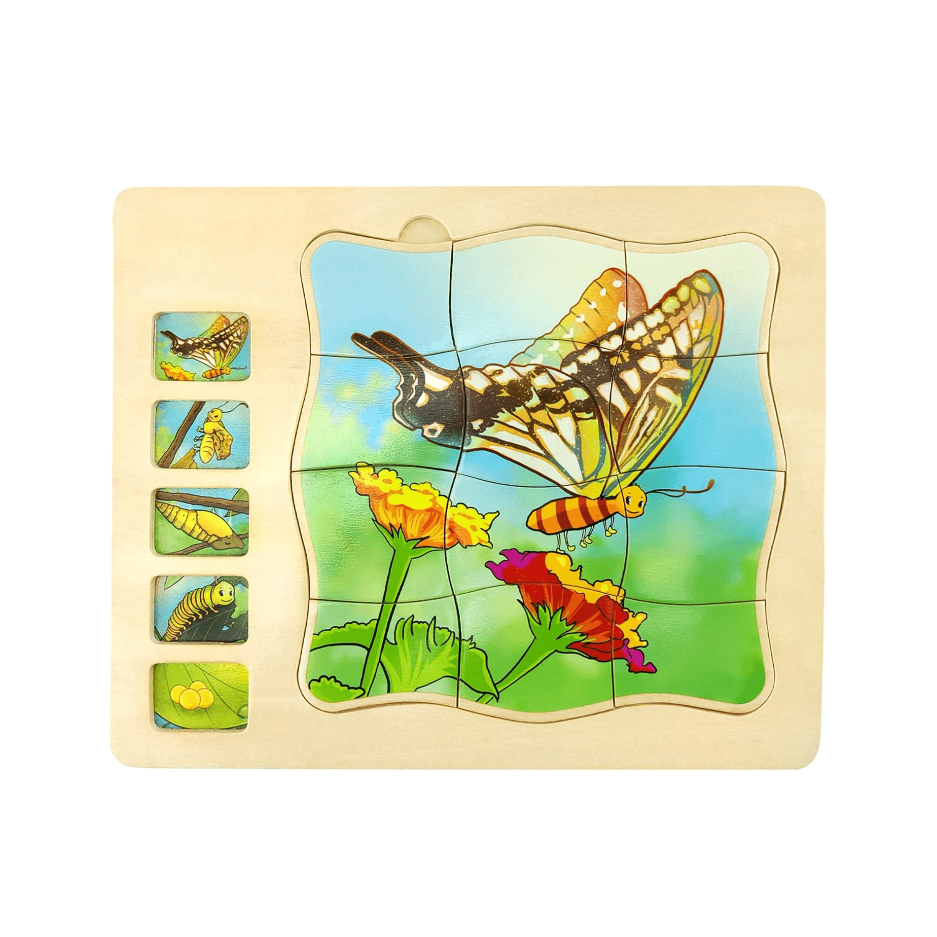 Montessori Onshine Layer Puzzle Life Cycle of Butterfly