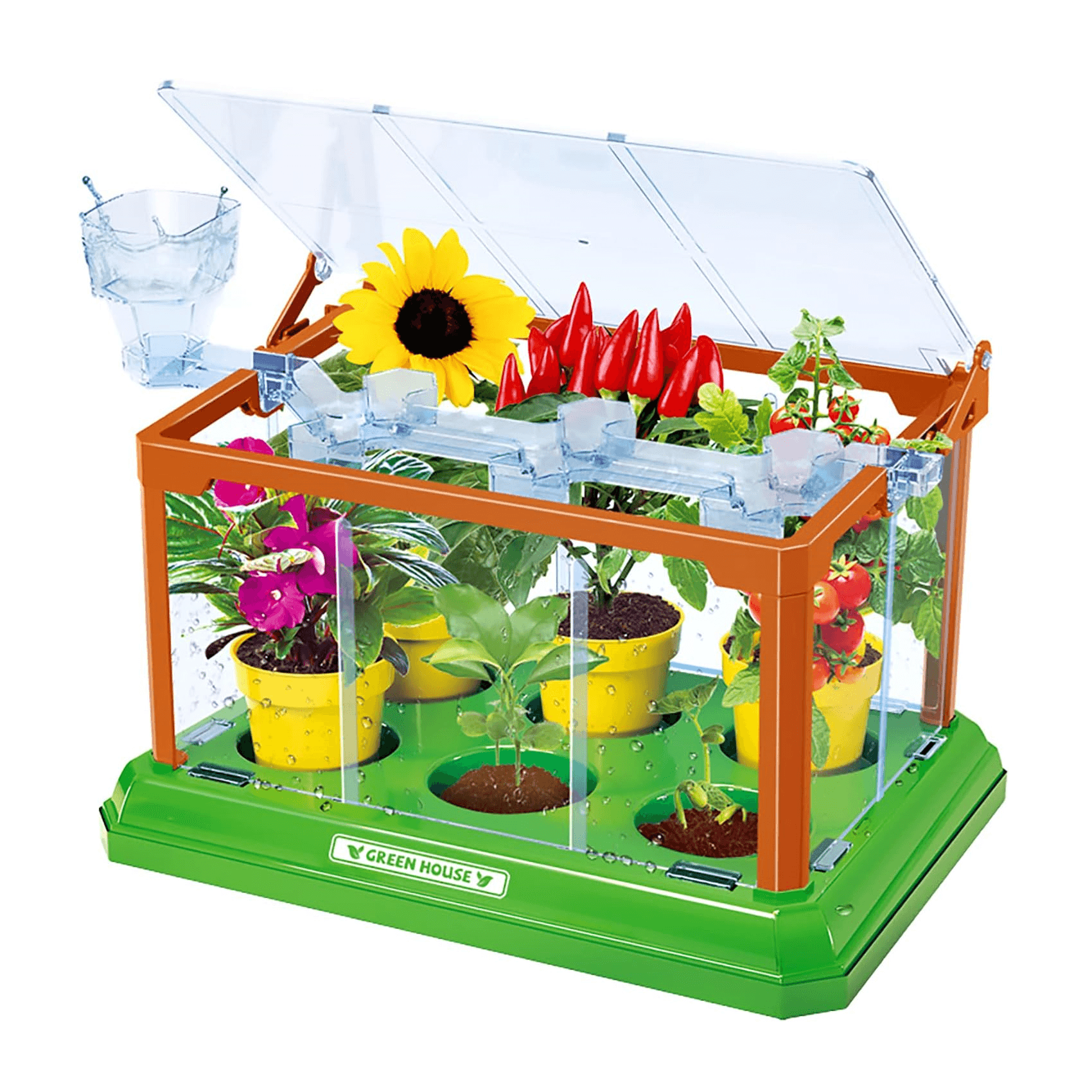 Montessori EXBEPE Greenhouse Growing Terrarium Kit