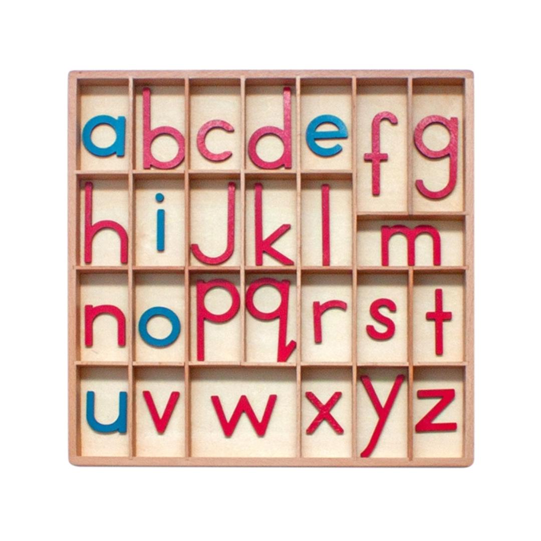 Montessori Alison's Montessori Small Movable Alphabet Print Red With Blue Vowels