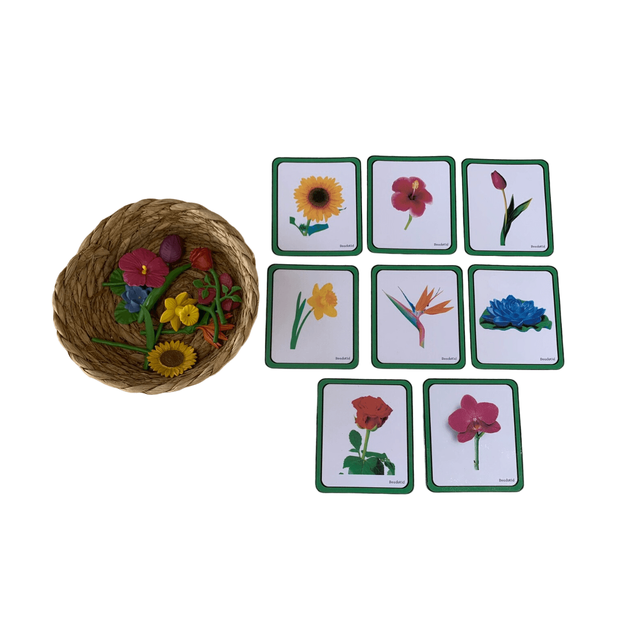 Montessori Beads Kid Montessori 3 Part Cards Flowers 3 Mil