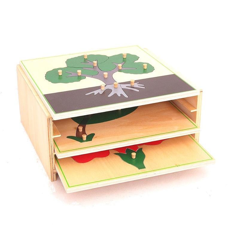 Montessori Pink Montessori 3 Botany Puzzles & Cabinet